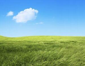 Scopri di più sull'articolo La Qualità Essenziale di Spazio