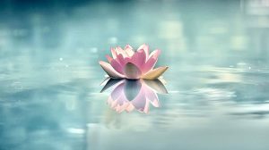 Read more about the article The Loneliness that reveals